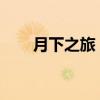 月下之旅：月夜游、短途游、文艺游
