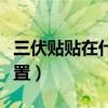 三伏贴贴在什么位置视频（三伏贴贴在什么位置）