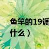 鱼竿的19调与28调指的是什么（鱼竿h代表什么）