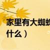 家里有大蜘蛛怎么回事（家里有大蜘蛛意味着什么）