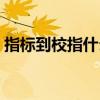 指标到校指什么（指标到校什么意思沈阳市）