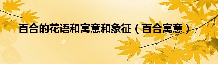 百合的花语和寓意和象征（百合的花语是什么寓意）