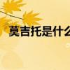 莫吉托是什么味道的饮料（莫吉托是什么）