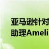 亚马逊针对第三方卖家推出人工智能（AI）助理Amelia