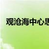 观沧海中心思想是什么（观沧海中心思想）