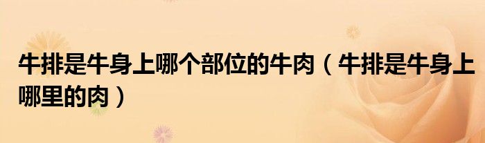 纯瘦肉的牛排叫什么（牛排是牛身上哪个部位）