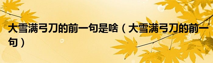 大雪满弓刀是哪首古诗（大雪满弓刀的下一句）