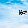 陈培忠下属（陈培忠父亲）