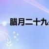 腊月二十九是阳历多少号（腊月二十九）