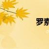 罗素2000指数上涨1.1%