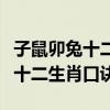 子鼠卯兔十二生肖口诀快速记忆法（子鼠卯兔十二生肖口诀）