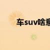 车suv啥意思（汽车suv是什么意思）
