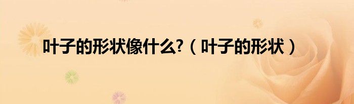 核桃树叶子的形状特点（叶子的形状特点）