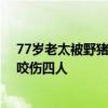 77岁老太被野猪咬伤后将其反杀 知情人：这头野猪两天内咬伤四人