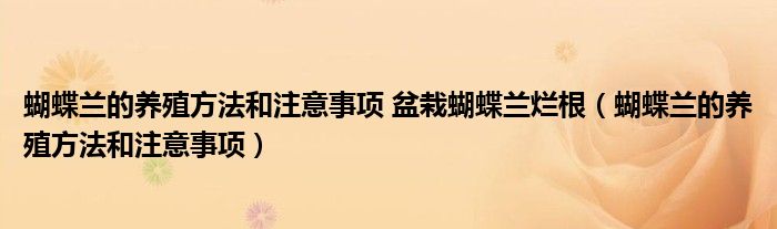蝴蝶兰的养殖技巧和方法（蝴蝶兰盆栽的养殖方法和注意事项）
