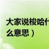 大家说梭哈什么意思网络用语（大家说梭哈什么意思）