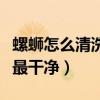 螺蛳怎么清洗最干净视频教程（螺蛳怎么清洗最干净）