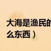 大海是渔民的什么东西填空（大海是渔民的什么东西）