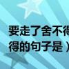 要走了舍不得的句子是什么歌曲（要走了舍不得的句子是）