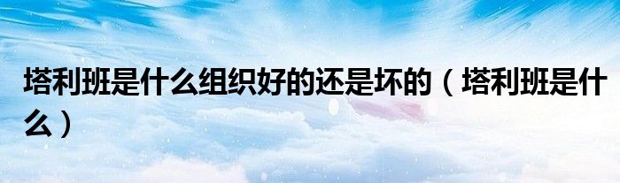 塔利班是什么组织怎么建立的（塔利班是什么组织呀）