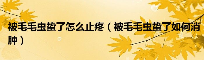 被毛毛虫蛰了消肿止疼的最快方法（被毛毛虫蛰了消肿止疼的药膏）