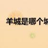 羊城是哪个城市的雅号（羊城是哪个城市）