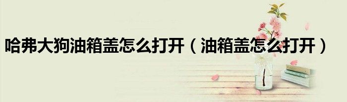 哈弗大狗油箱盖开关示意图（哈弗大狗油箱盖在哪）