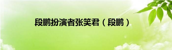 段鹏最后（演段鹏的演员是谁?）