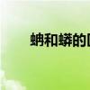 蚺和蟒的区别 视频（蚺和蟒的区别）