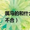 属马的和什么属相不合?（属马的和什么属相不合）