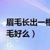 眉毛长出一根长毛好么金色（眉毛长出一根长毛好么）