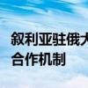 叙利亚驻俄大使：叙利亚已申请加入金砖国家合作机制