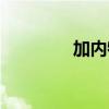 加内特生涯数据（加内特）