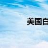 美国白宫称拜登周四前往柏林