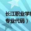 长江职业学院专业代码2021（长江职业学院专业代码）