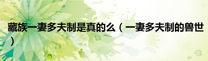 藏族是一夫一妻制度吗（藏族是一妻一夫制吗）