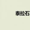 泰拉石项链属性（泰拉石项链）