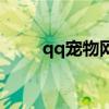 qq宠物网页版登录（登陆qq宠物）