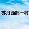 苏丹西部一村庄遭武装分子袭击 致20人死亡