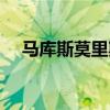 马库斯莫里斯生涯薪资（马库斯莫里斯）
