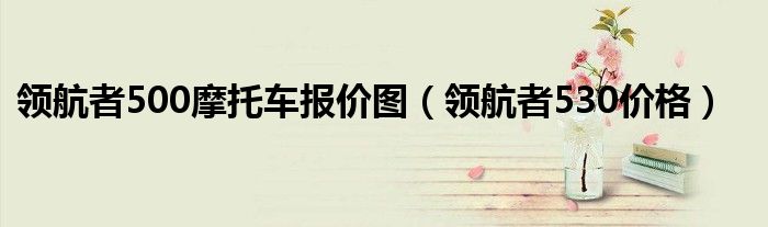领航者摩托（领航者500摩托车二手）