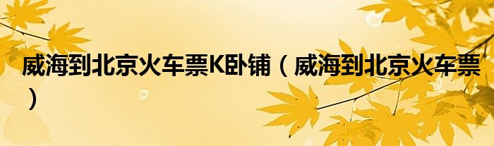 威海到长沙最佳路线（威海到长沙的火车票）