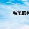 毛笔的种类及选择（毛笔的种类）