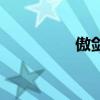 傲剑哥们网（傲剑哥们）