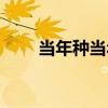 当年种当年收的药材有哪些（当年）