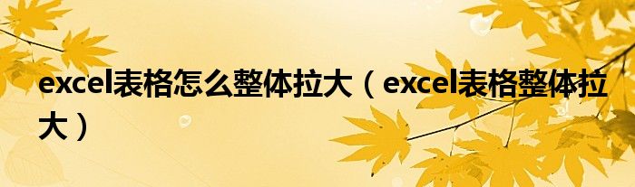 怎么把excel表格整体拉大（excel表格怎么把表格全部拉大）