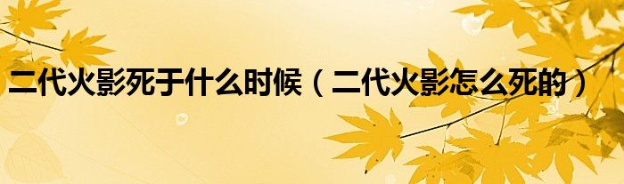 二代火影死的时候几岁（二代火影死于几战）