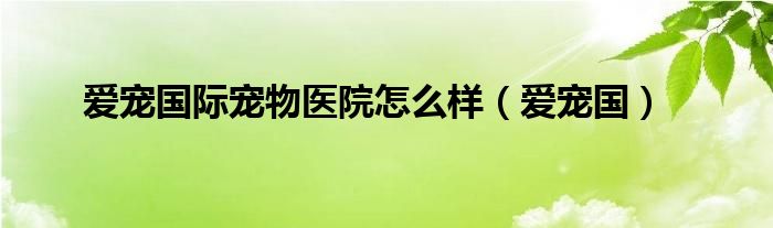 爱宠宠物医院管理系统（爱宠宠物用品有限公司）