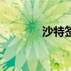 沙特签证怎么办（沙特签证）