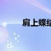 肩上蝶结局是什么（肩上蝶结局）